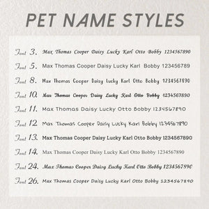 Pet Collar Engraved Tag - Micflip